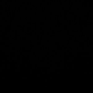 Meet your Posher, Lilly